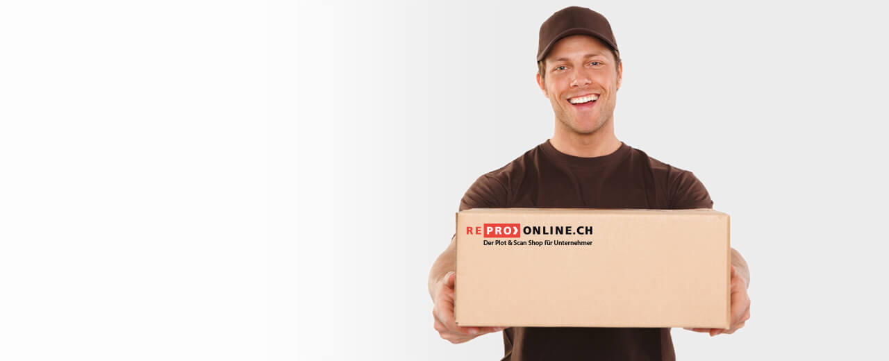 Ein Paketbote liefert ein Repro Online Paket